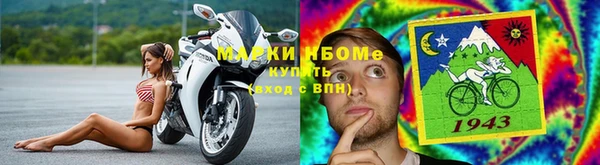 хмурый Инта