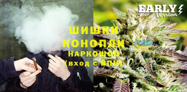 хмурый Инта