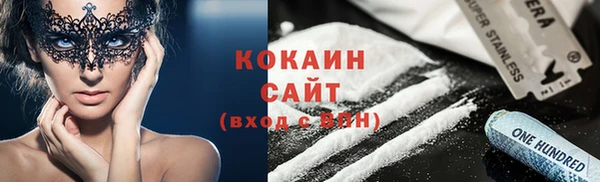 хмурый Инта