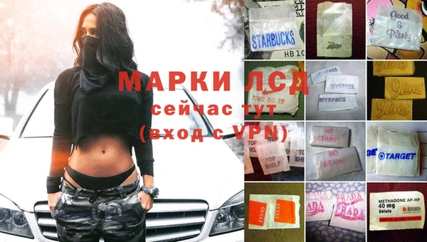 хмурый Инта