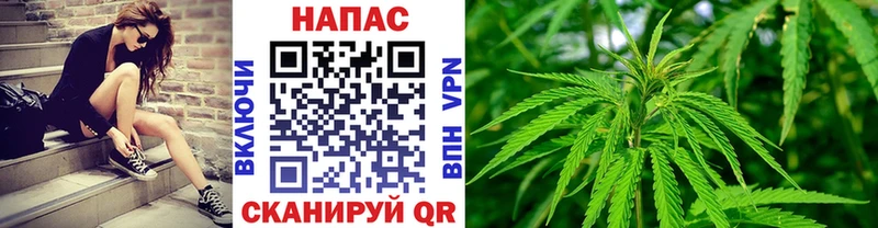 МАРИХУАНА гибрид Кизилюрт